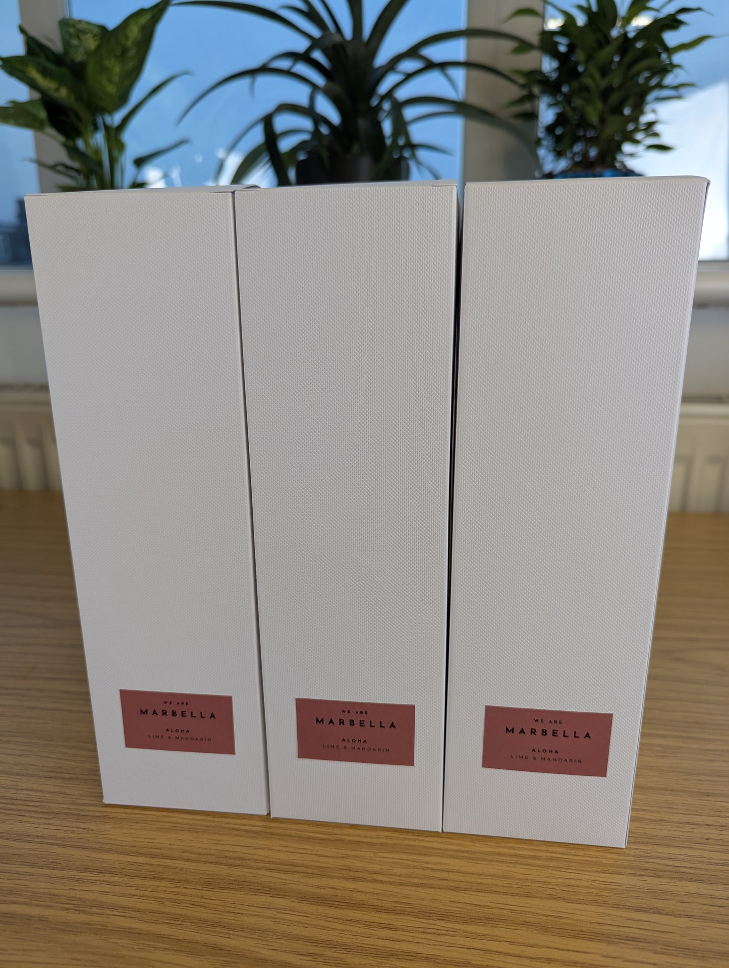 Banus Diffuser – 100ml with White Fibre Reeds