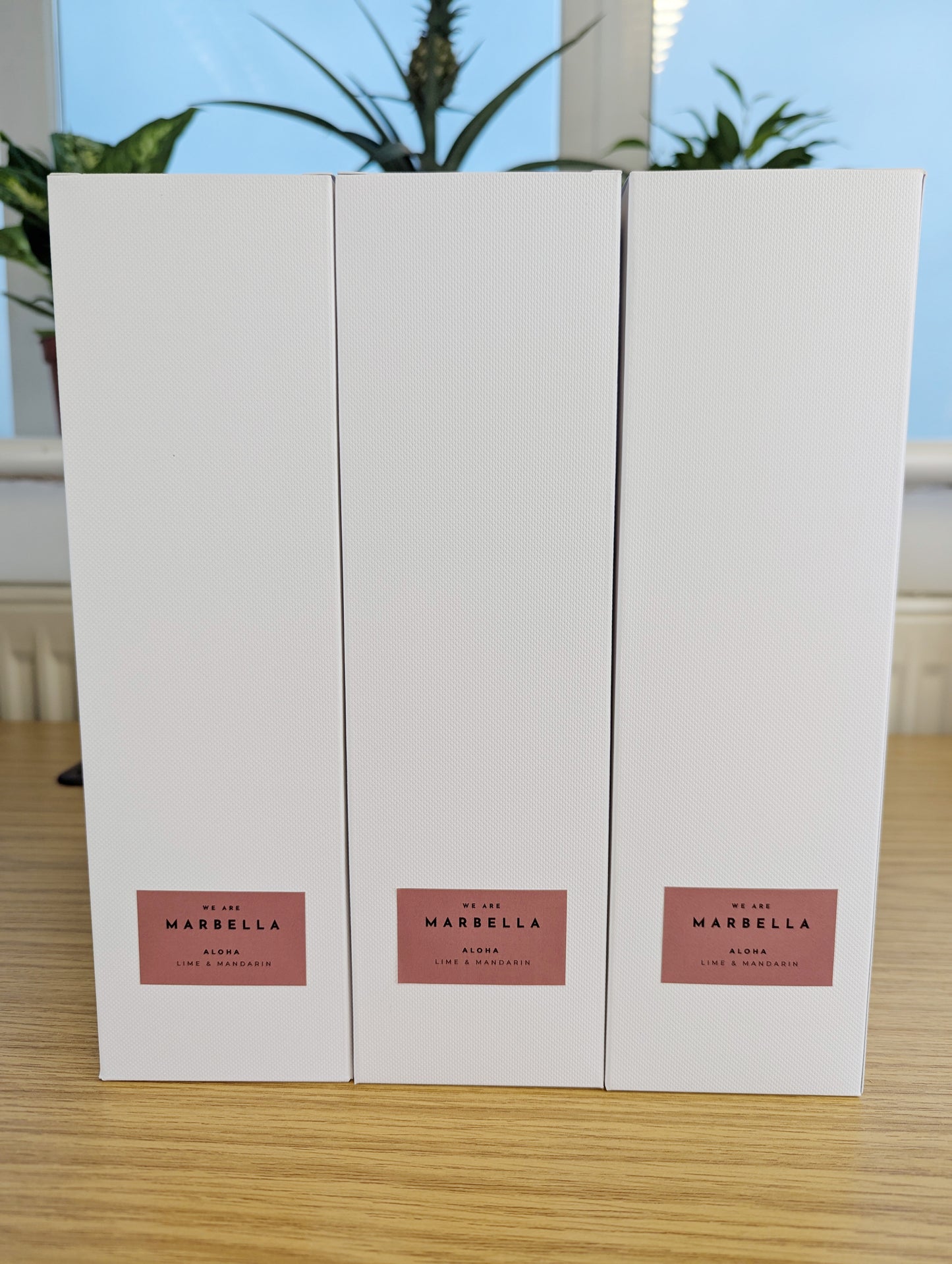 Romano Diffuser – 100ml with White Fibre Reeds