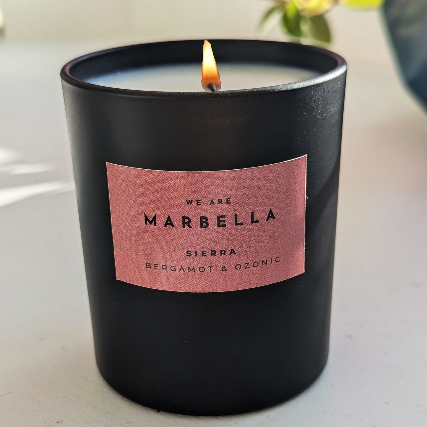 Sierra - Bergamot & Ozonic - Luxury Candle